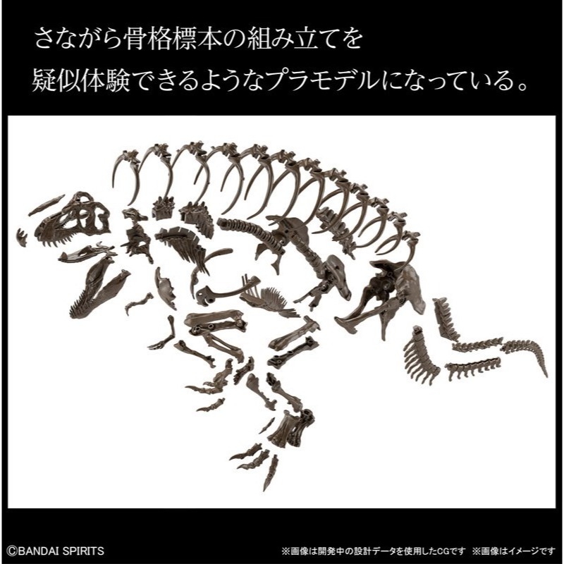 [那間店]BANDAI 1/32 幻想骨骼系列 暴龍 組裝模型 5061800-細節圖6