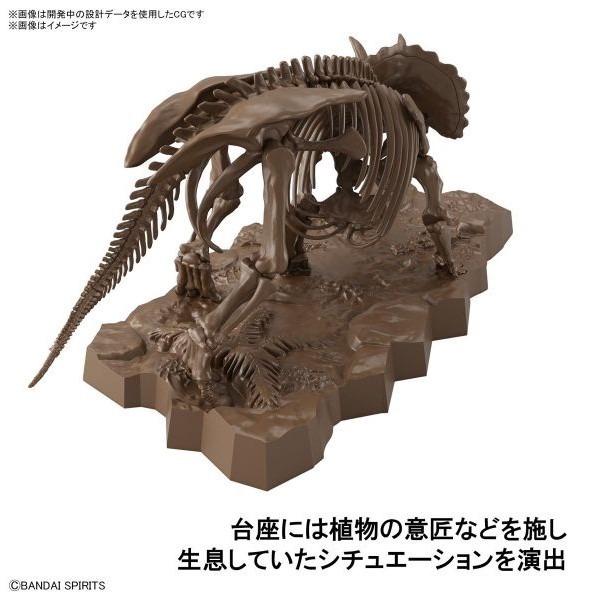 [那間店]BANDAI 1/32 幻想骨骼系列 三角龍 組裝模型 5061801-細節圖4