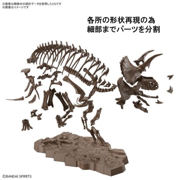 [那間店]BANDAI 1/32 幻想骨骼系列 三角龍 組裝模型 5061801-細節圖5