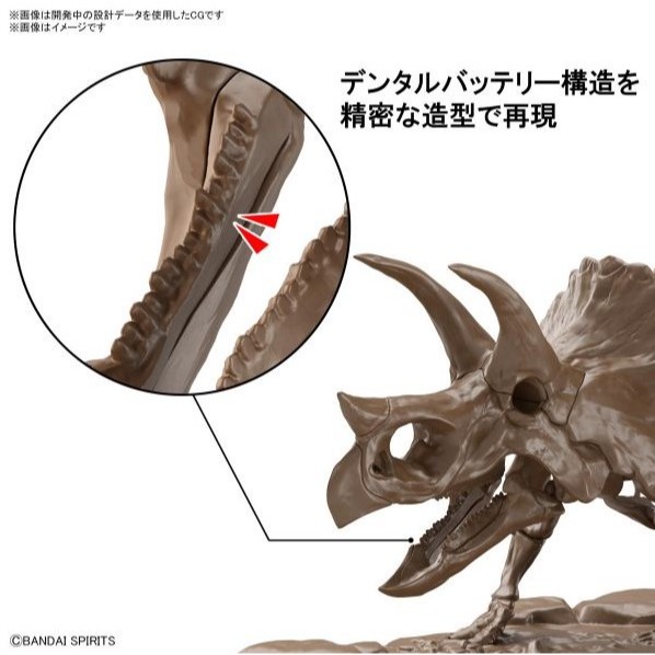 [那間店]BANDAI 1/32 幻想骨骼系列 三角龍 組裝模型 5061801-細節圖6