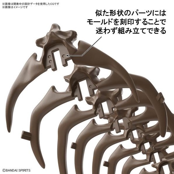[那間店]BANDAI 1/32 幻想骨骼系列 三角龍 組裝模型 5061801-細節圖7