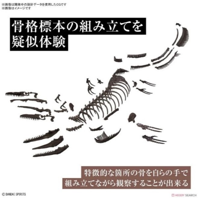 [那間店]BANDAI 1/32 幻想骨骼系列 滄龍 組裝模型 5065428-細節圖5