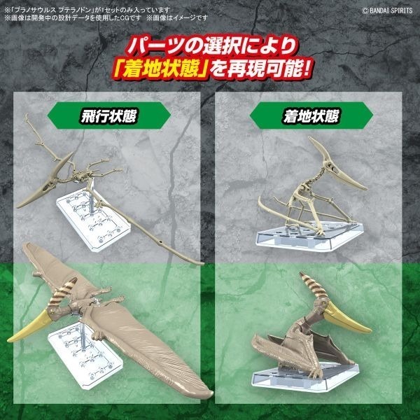 [那間店]BANDAI 新恐龍 #07 無齒翼龍 翼手龍 組裝模型 5066282-細節圖7