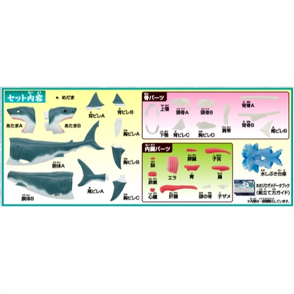 [那間店]MegaHouse 自然科學系列 鯊魚 趣味拼圖-細節圖2