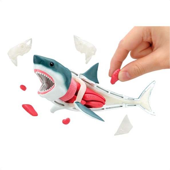 [那間店]MegaHouse 自然科學系列 鯊魚 趣味拼圖-細節圖3