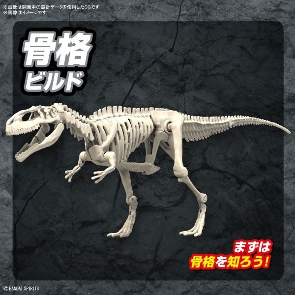 [那間店]BANDAI 新恐龍 #08 南方巨獸龍 組裝模型 5066320-細節圖7