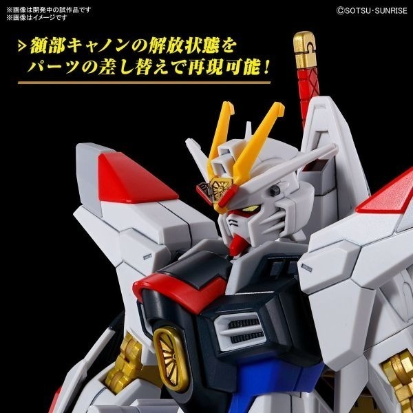 [那間店]BANDAI HG 1/144 #250 全能攻擊自由鋼彈 機動戰士鋼彈 5066384-細節圖8