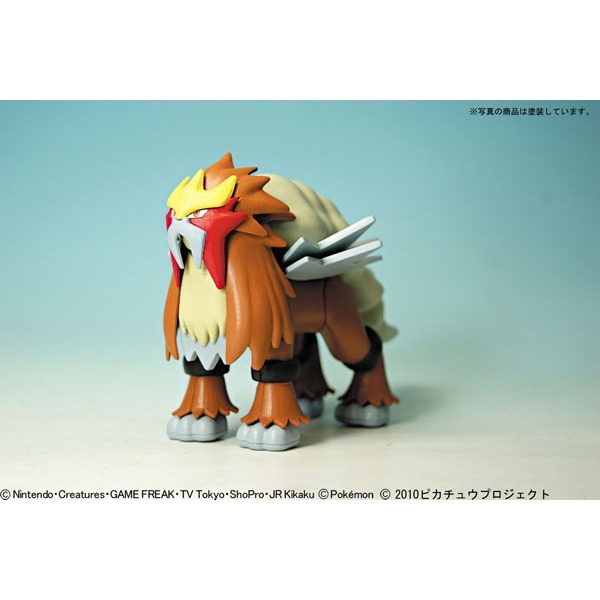 [那間店]BANDAI POKEMON 神奇寶貝 寶可夢 #11 炎帝 組裝模型 5066404-細節圖2