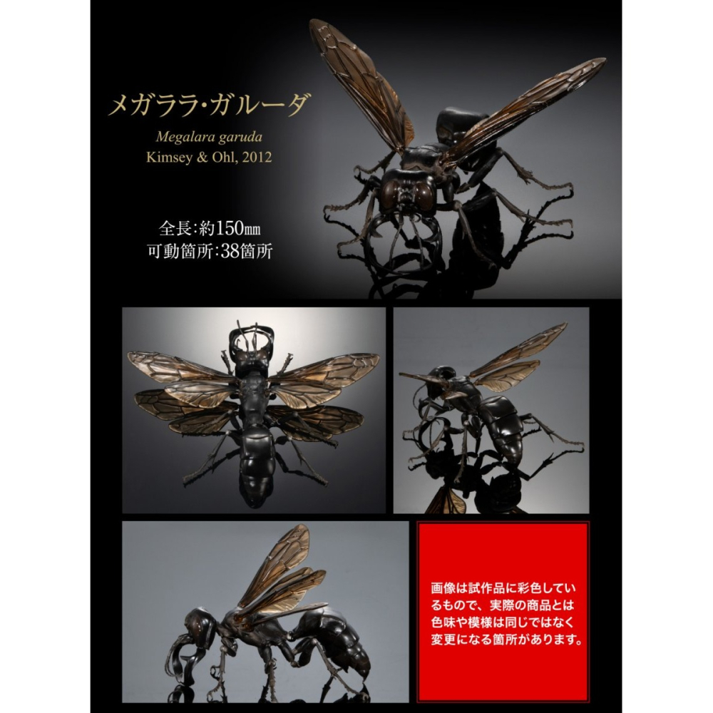 [那間店]BANDAI 生物大圖鑑 胡蜂亞科02 加魯達土蜂 大虎頭蜂 黃色胡蜂 展示套組-細節圖8