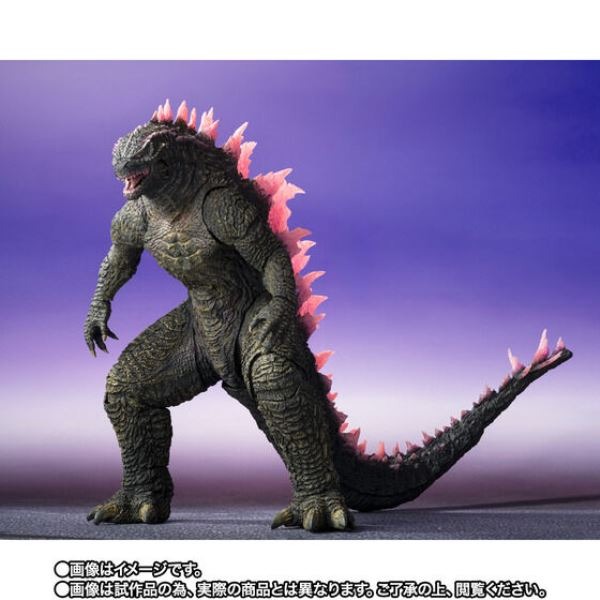 [那間店]BANDAI S.H.MonsterArts SHM 哥吉拉 Evolved 2024 附運輸箱-細節圖2