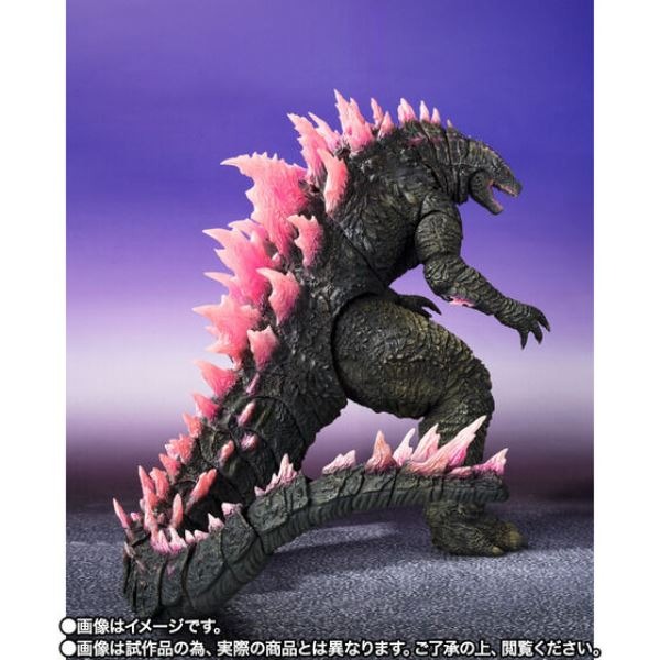 [那間店]BANDAI S.H.MonsterArts SHM 哥吉拉 Evolved 2024 附運輸箱-細節圖3