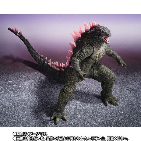 [那間店]BANDAI S.H.MonsterArts SHM 哥吉拉 Evolved 2024 附運輸箱-細節圖5