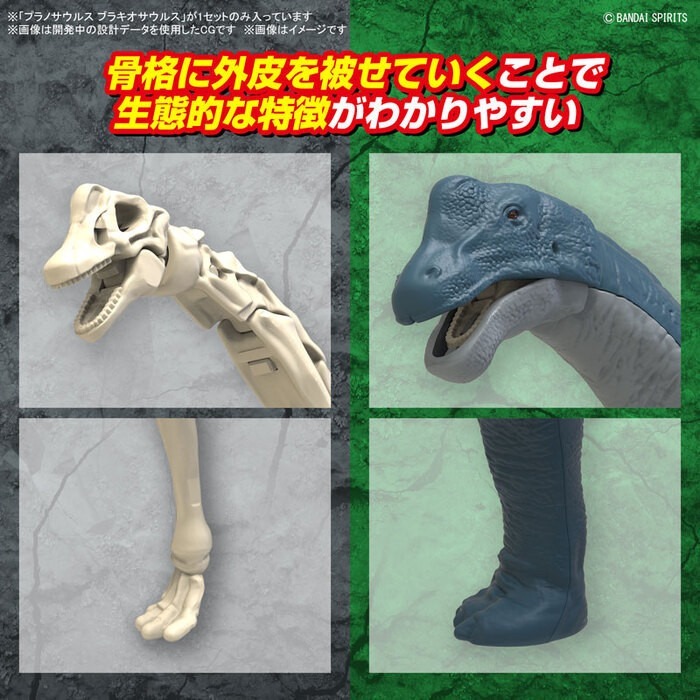 [那間店]BANDAI 新恐龍 #10 腕龍 組裝模型 5067427-細節圖7