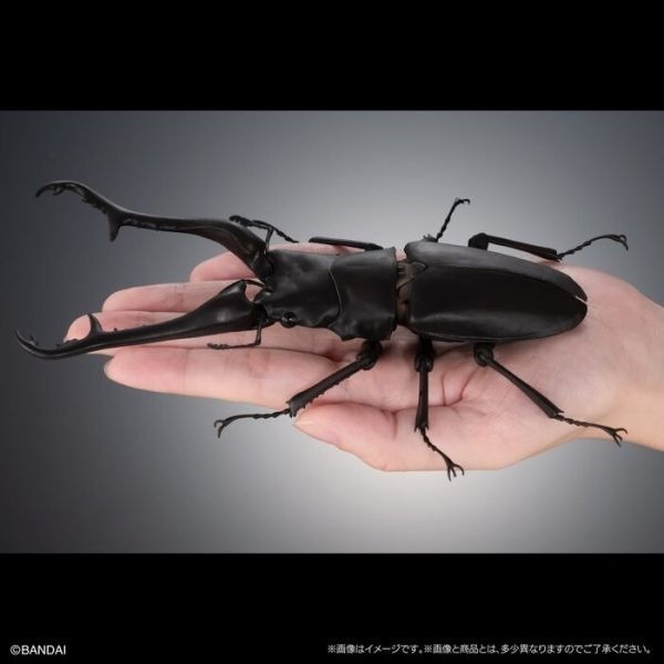 [那間店]BANDAI 生物大圖鑑 長頸鹿鋸鍬形蟲/巨顎叉角鍬形蟲 一中盒4入販售 附展示支架 BB72010-細節圖3