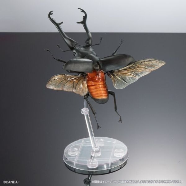[那間店]BANDAI 生物大圖鑑 長頸鹿鋸鍬形蟲/巨顎叉角鍬形蟲 一中盒4入販售 附展示支架 BB72010-細節圖6