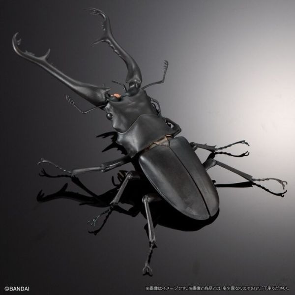 [那間店]BANDAI 生物大圖鑑 長頸鹿鋸鍬形蟲/巨顎叉角鍬形蟲 一中盒4入販售 附展示支架 BB72010-細節圖7