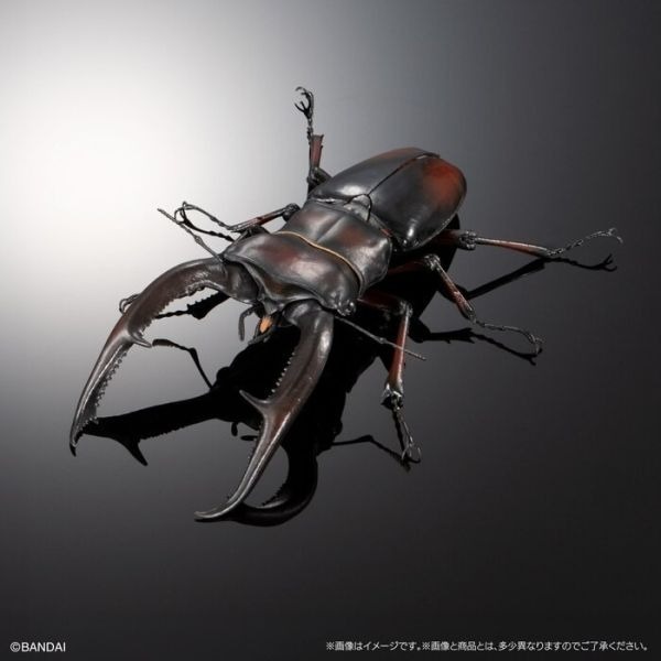 [那間店]BANDAI 生物大圖鑑 長頸鹿鋸鍬形蟲/巨顎叉角鍬形蟲 一中盒4入販售 附展示支架 BB72010-細節圖9