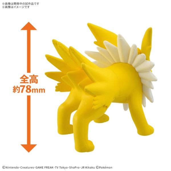 [那間店]BANDAI POKEPLA收藏集 快組版 #26 寶可夢 神奇寶貝 雷伊布 5072526-細節圖3
