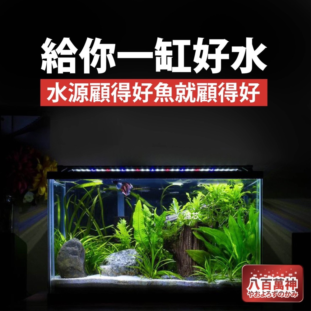 八百萬神 水族專用  除氯淨水器 觀賞魚專用  和水穩和三胞胎說再見 除氯-細節圖5