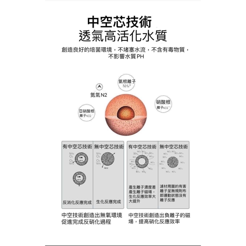 【3顆 / 1元】No1 濾材 高效濾材 中空石英球 中空球 過濾用 細菌屋 培菌球-細節圖5