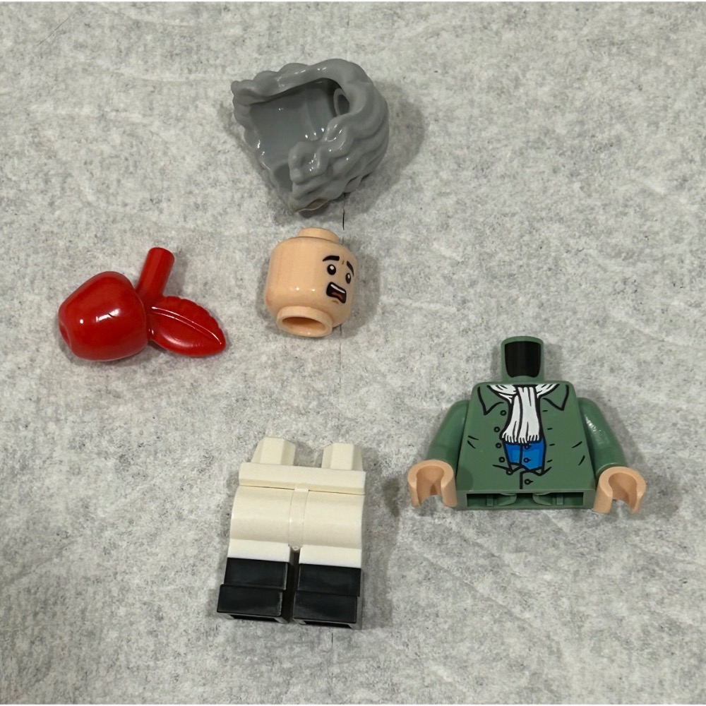 正版 Lego 樂高 21355 艾薩克.牛頓 idea224 全新 未組裝 如圖所示 夾鏈袋裝-細節圖2