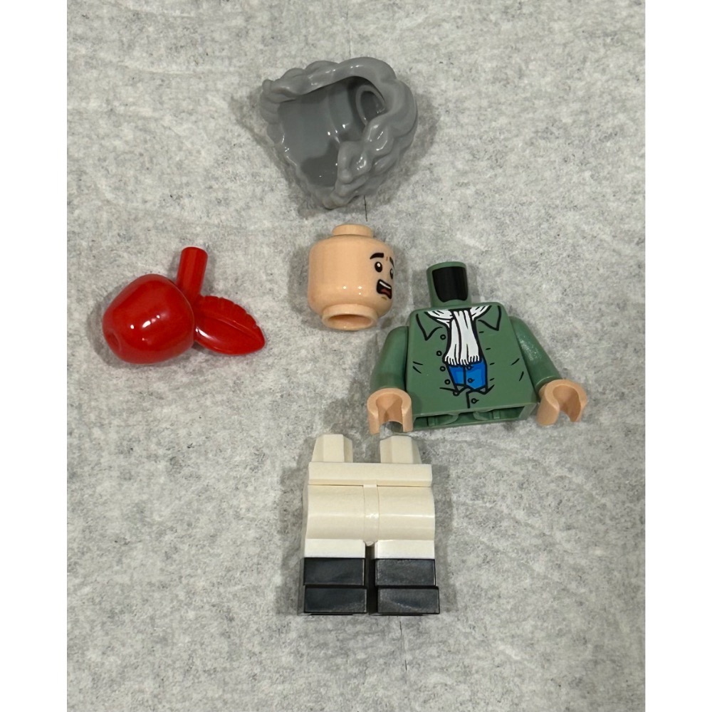 正版 Lego 樂高 21355 艾薩克.牛頓 idea224 全新 未組裝 如圖所示 夾鏈袋裝-細節圖3