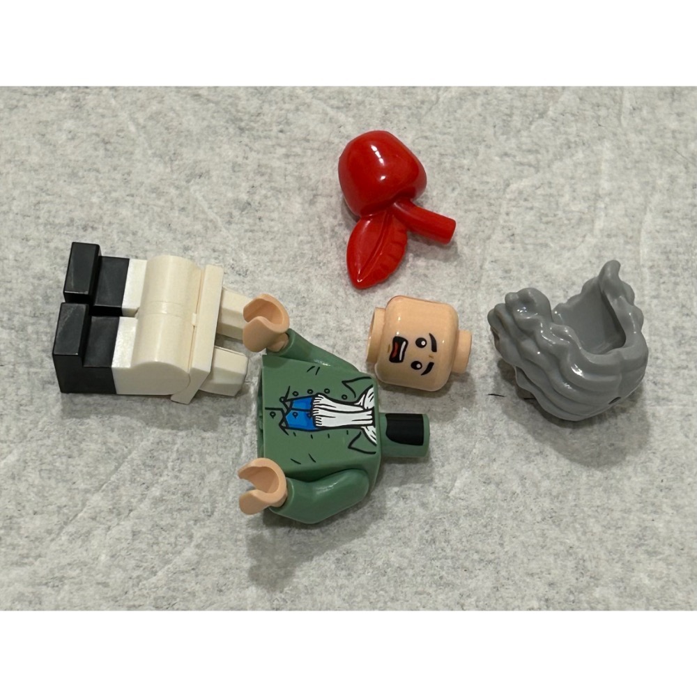 正版 Lego 樂高 21355 艾薩克.牛頓 idea224 全新 未組裝 如圖所示 夾鏈袋裝-細節圖4