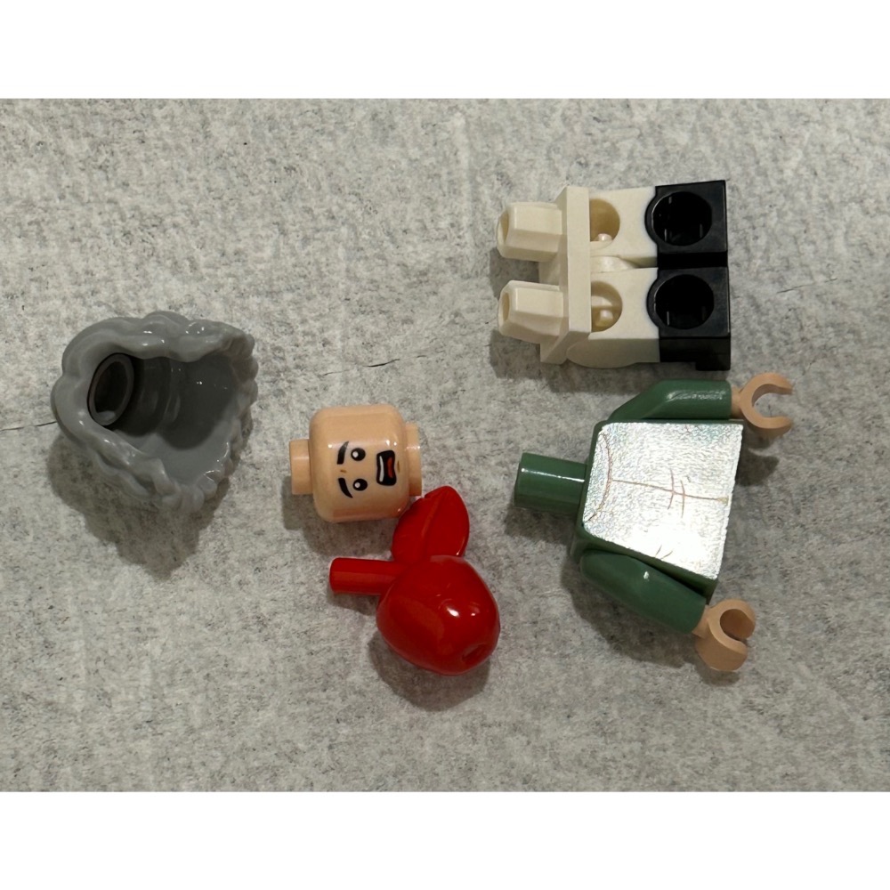 正版 Lego 樂高 21355 艾薩克.牛頓 idea224 全新 未組裝 如圖所示 夾鏈袋裝-細節圖5