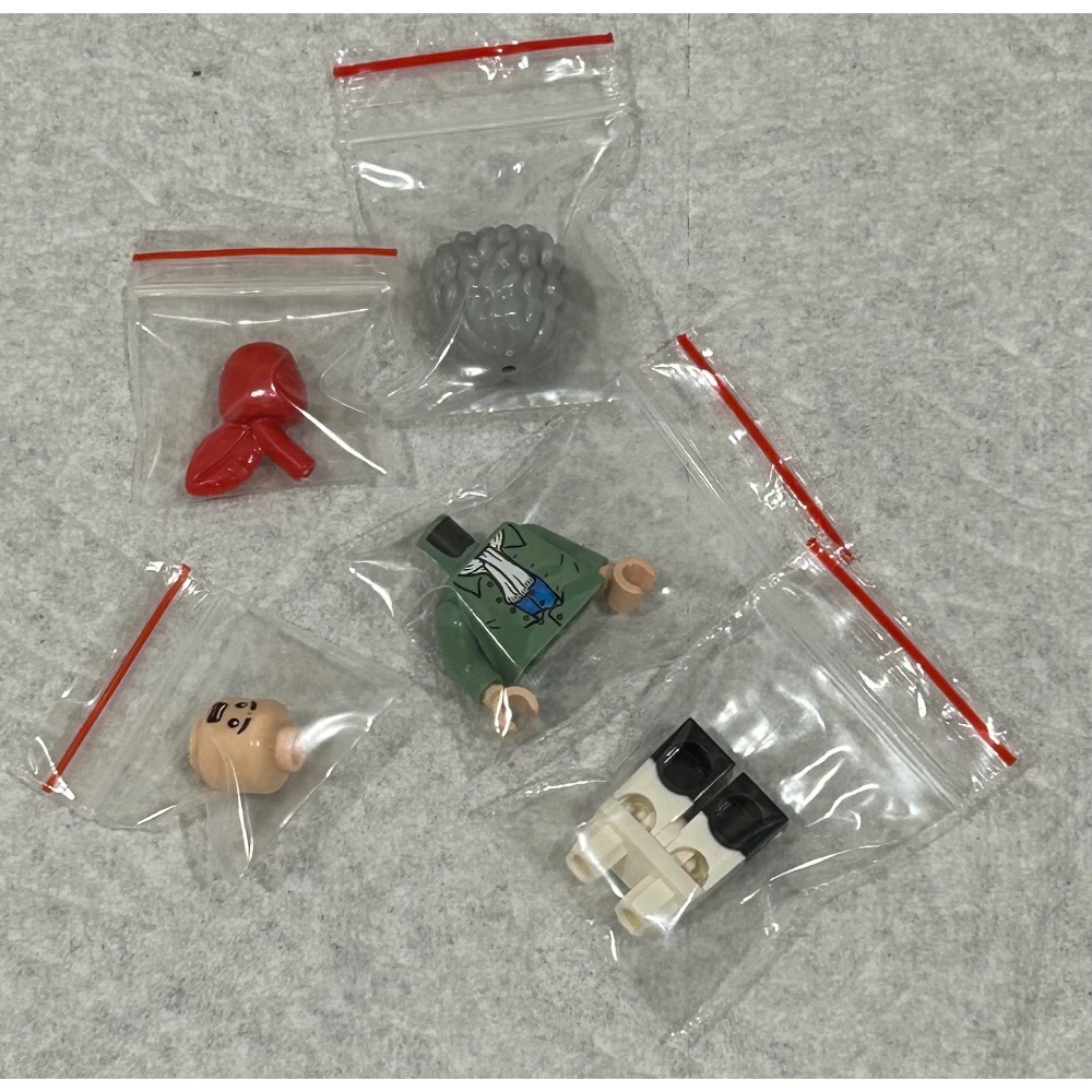 正版 Lego 樂高 21355 艾薩克.牛頓 idea224 全新 未組裝 如圖所示 夾鏈袋裝-細節圖7