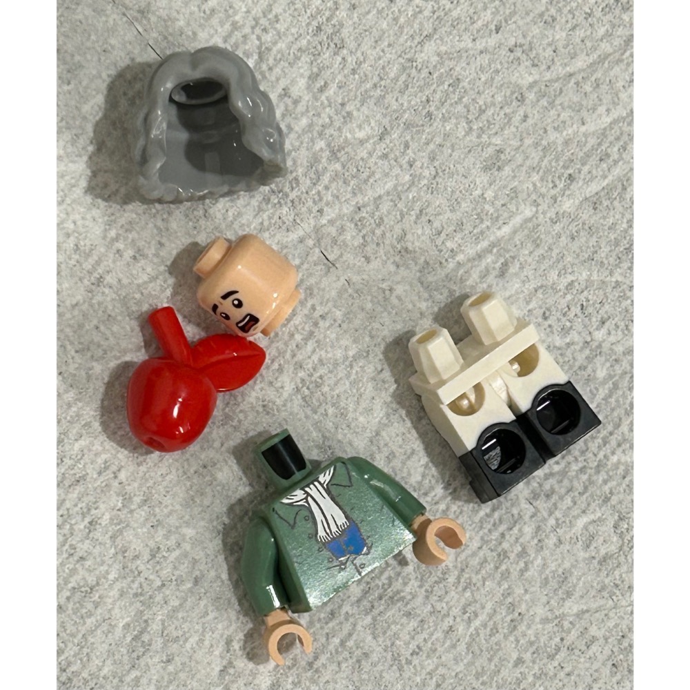 正版 Lego 樂高 21355 艾薩克.牛頓 idea224 全新 未組裝 如圖所示 夾鏈袋裝-規格圖8