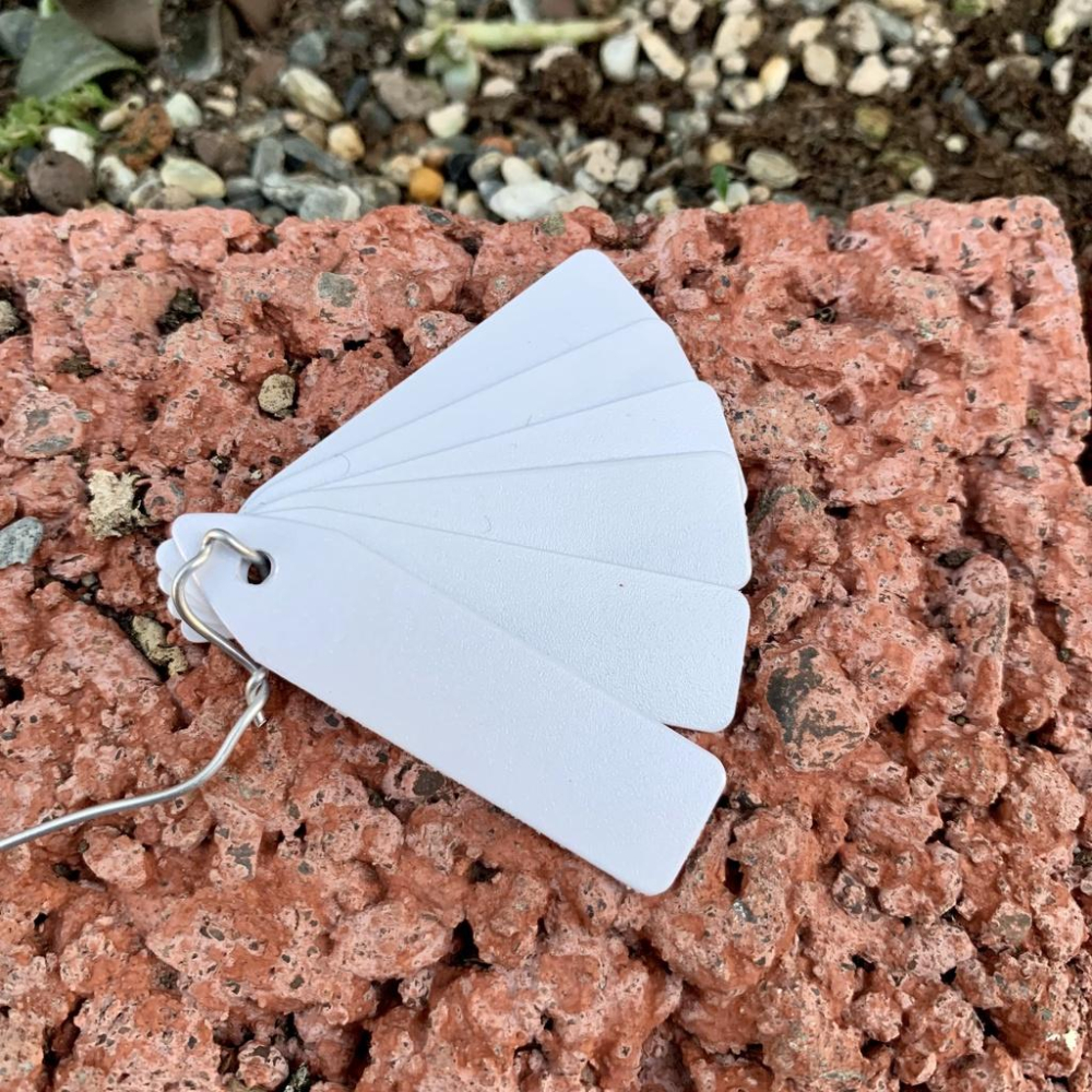 【小玩植】空氣鳳梨 🌿植物插牌 蘭花花牌 標籤 吊牌 名牌，植物插牌-細節圖4