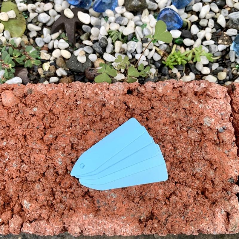 【小玩植】空氣鳳梨 🌿植物插牌 蘭花花牌 標籤 吊牌 名牌，植物插牌-細節圖6