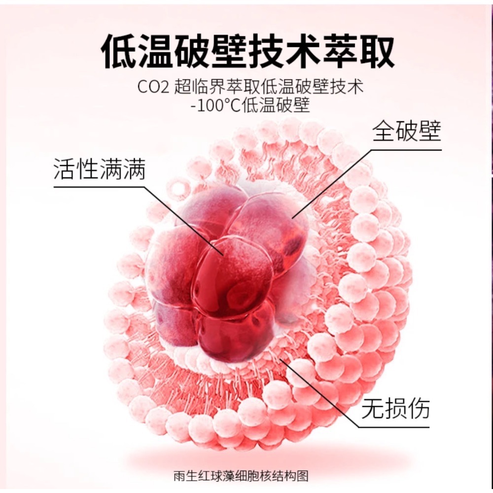 【七老闆推薦】Enervite澳樂維他 蝦青素精華膠囊-細節圖3