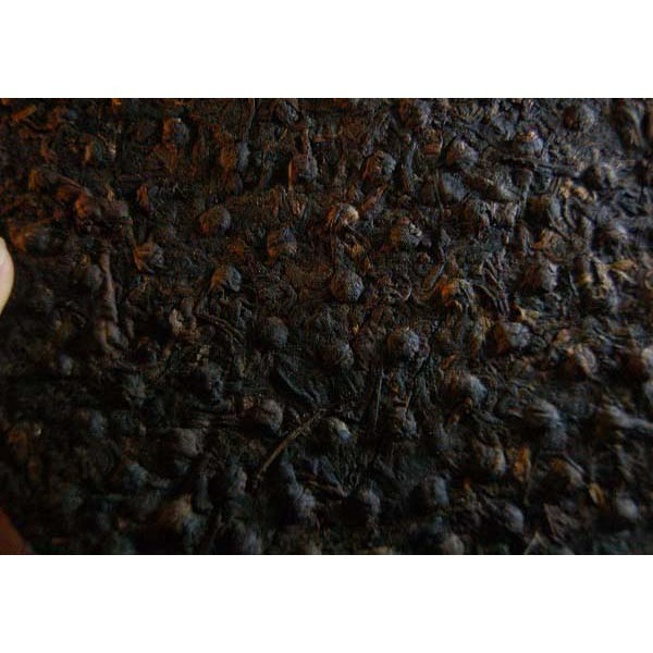 【惟馨堂】陳教授普洱老茶珍藏分享—90年代下關鐵餅茶分享包10公克裝-細節圖3