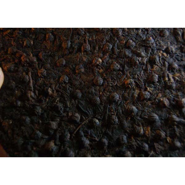 【惟馨堂】陳教授普洱老茶珍藏分享—90年代下關鐵餅茶分享包10公克裝-細節圖3