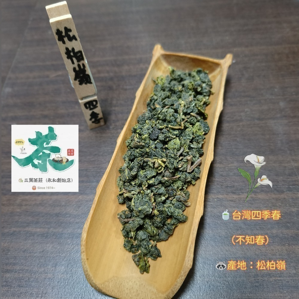 25松柏嶺🍃【台灣四季春茶】-細節圖2