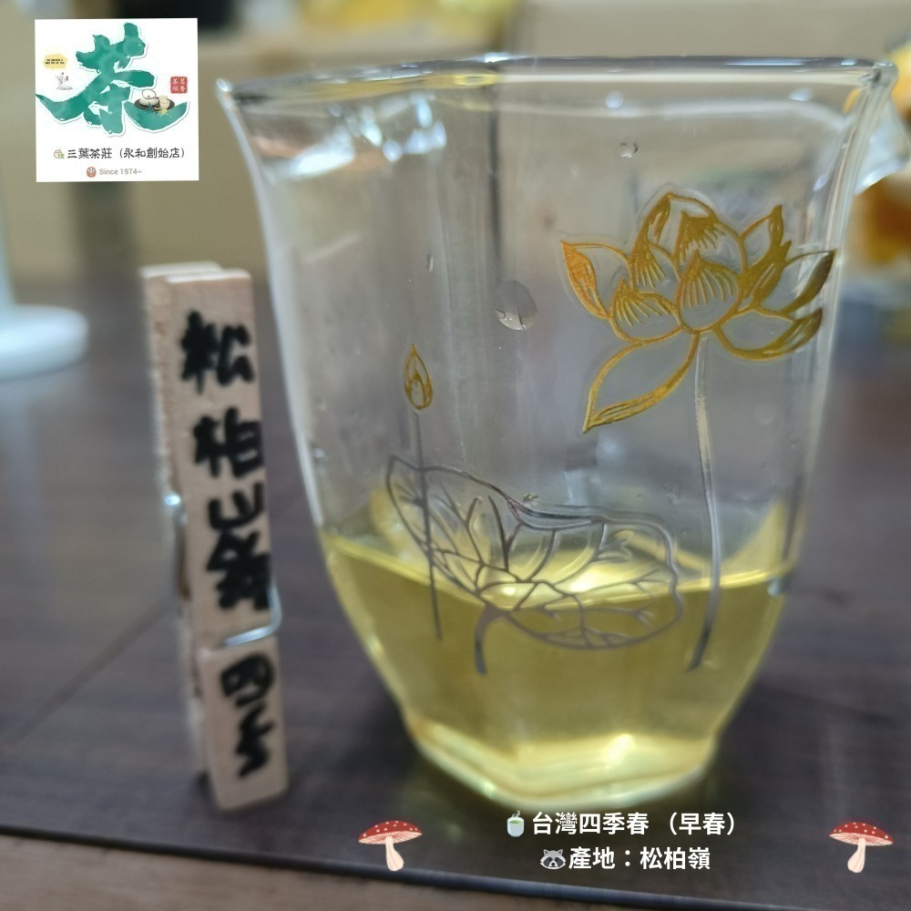25松柏嶺🍃【台灣四季春茶】-細節圖4