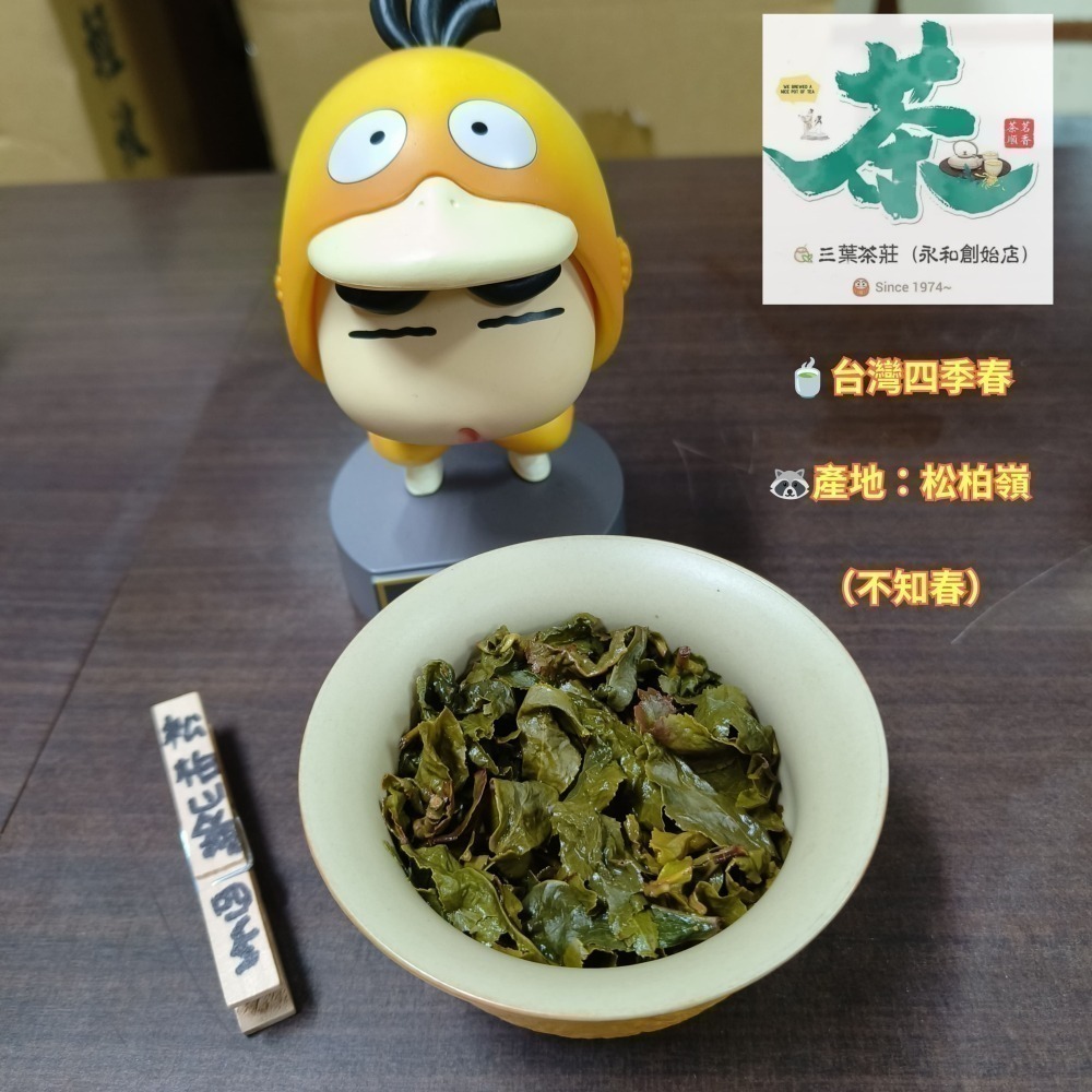 25松柏嶺🍃【台灣四季春茶】-細節圖3