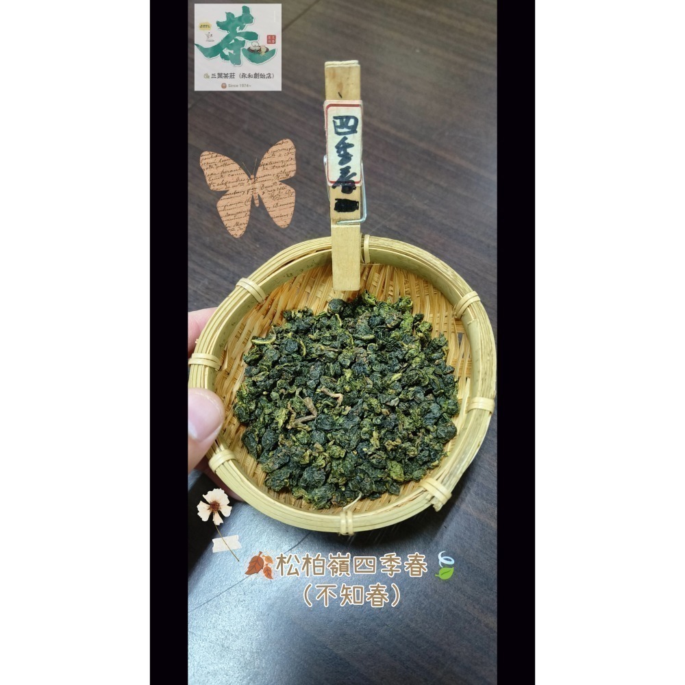 26 松柏嶺 🪔【台灣四季春茶】-細節圖2