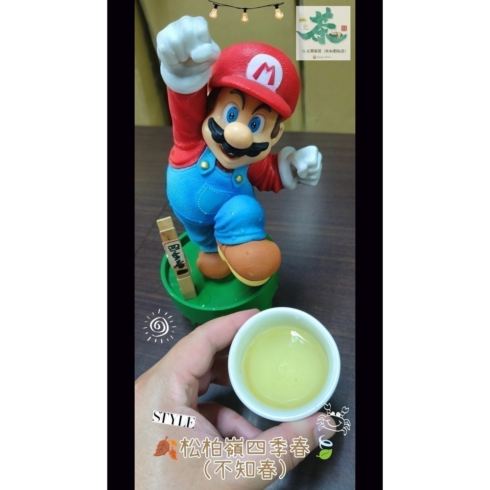 26 松柏嶺 🪔【台灣四季春茶】-細節圖3