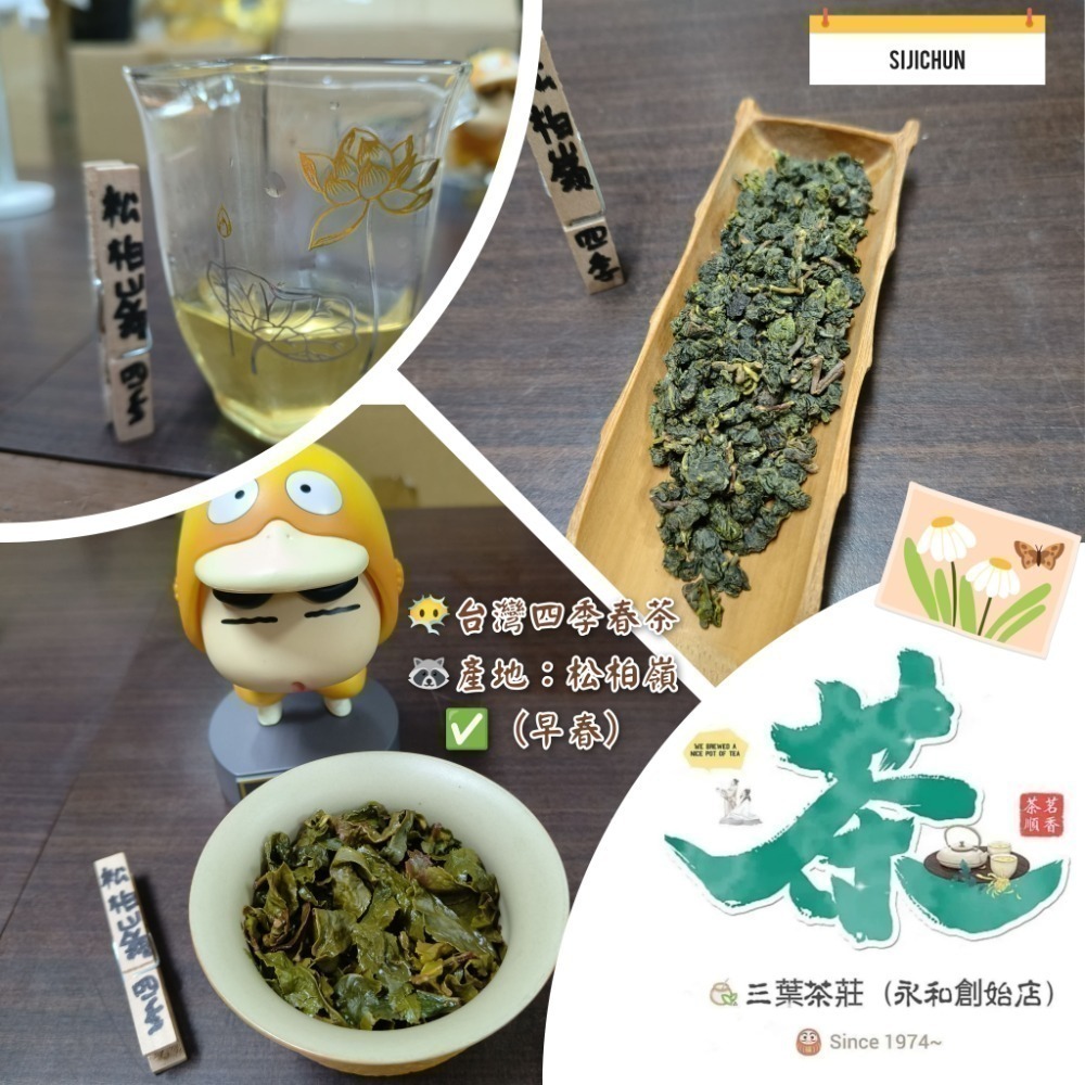 26 松柏嶺 🪔台灣四季春茶-規格圖6