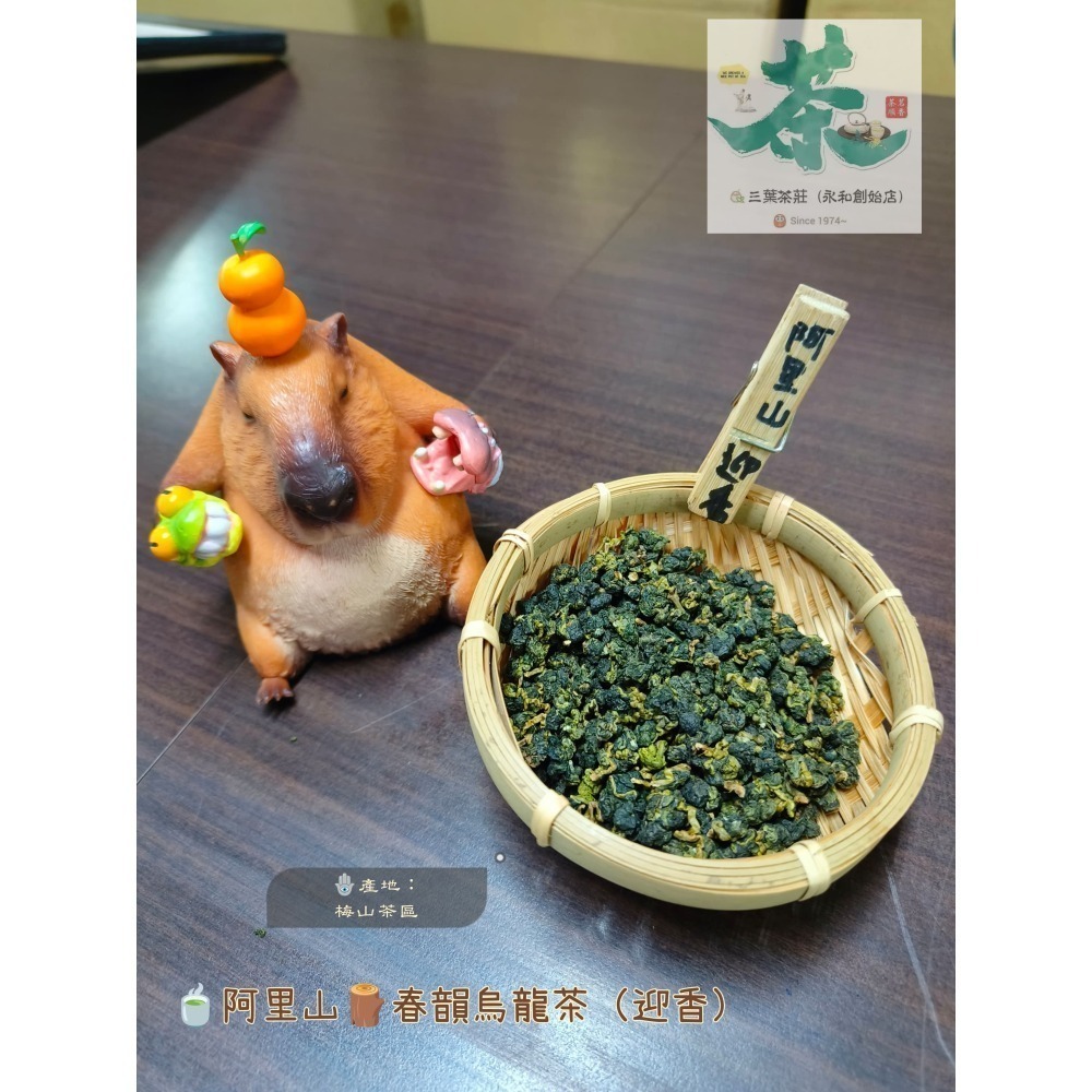 25 阿里山🍂【春韻烏龍茶(迎香)】-細節圖2