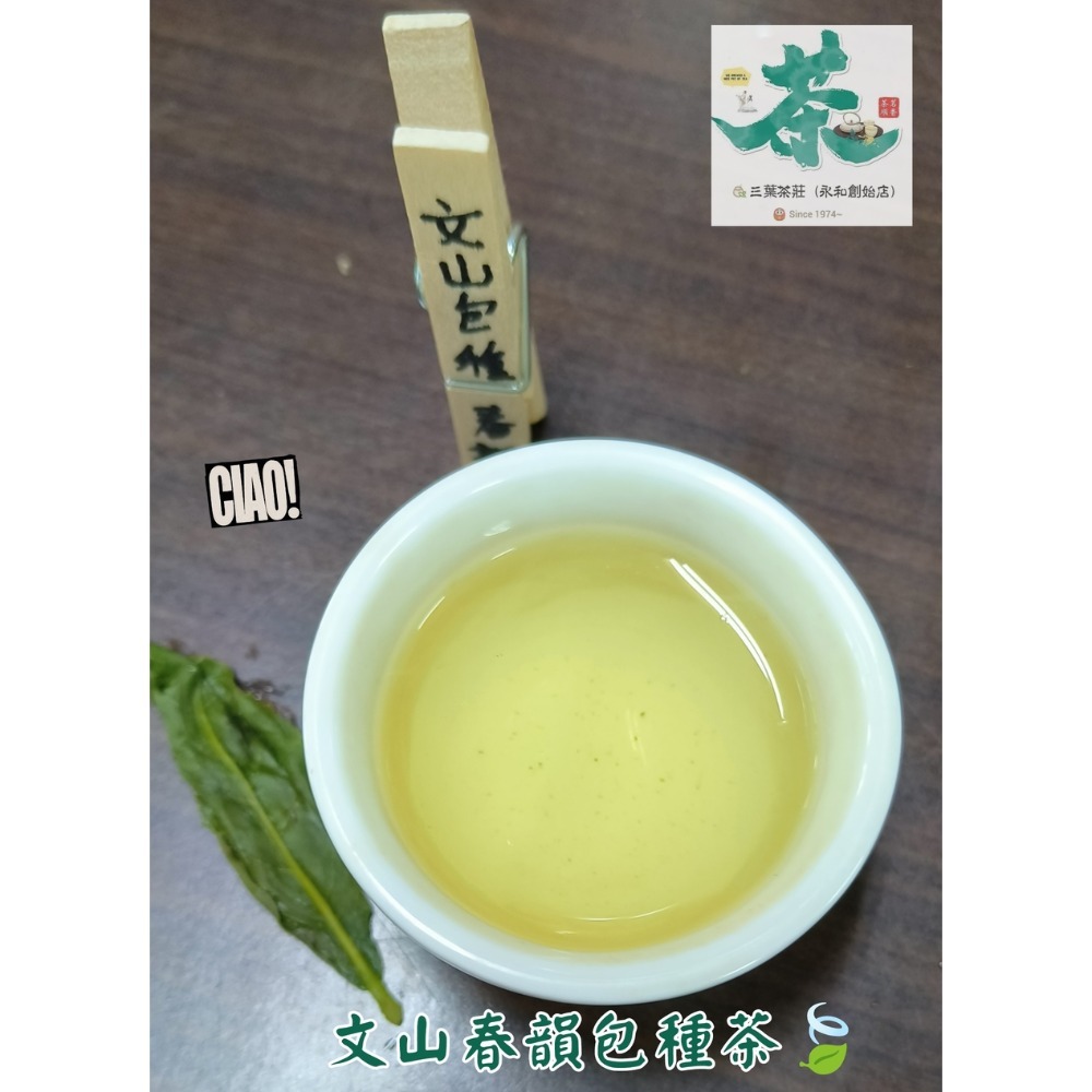 26  坪林 🍃文山春韻包種茶-規格圖6