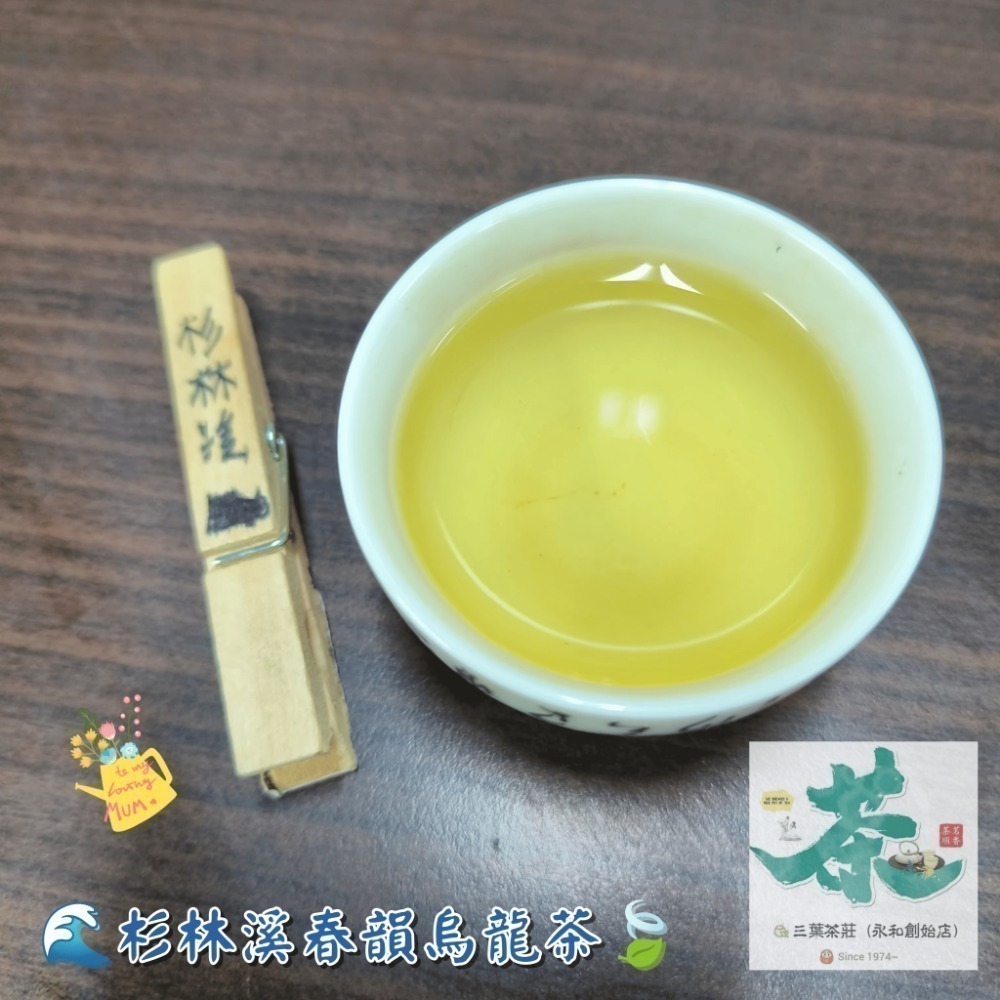 25 杉林溪🌊【春韻烏龍茶】-規格圖6