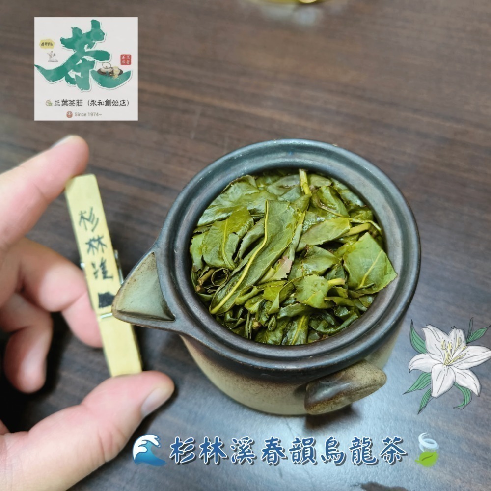 25 杉林溪🌊【春韻烏龍茶】-規格圖6