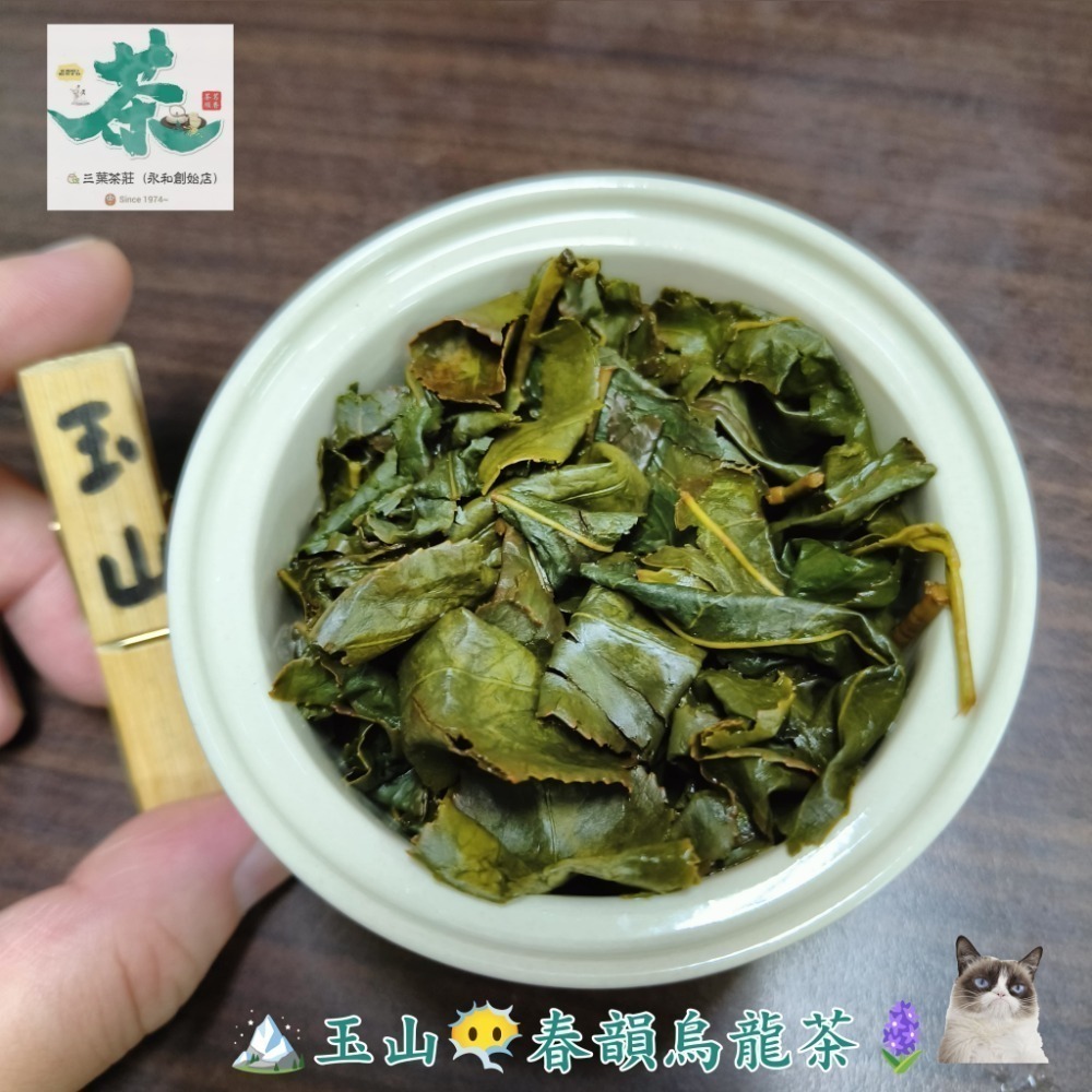 25  玉山🪴【春韻烏龍茶】-規格圖6