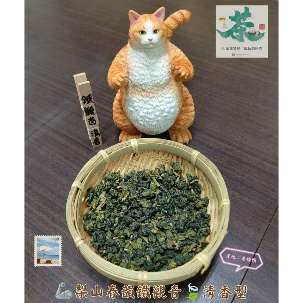 25  梨山🦾【春韻鐵觀音】-細節圖2