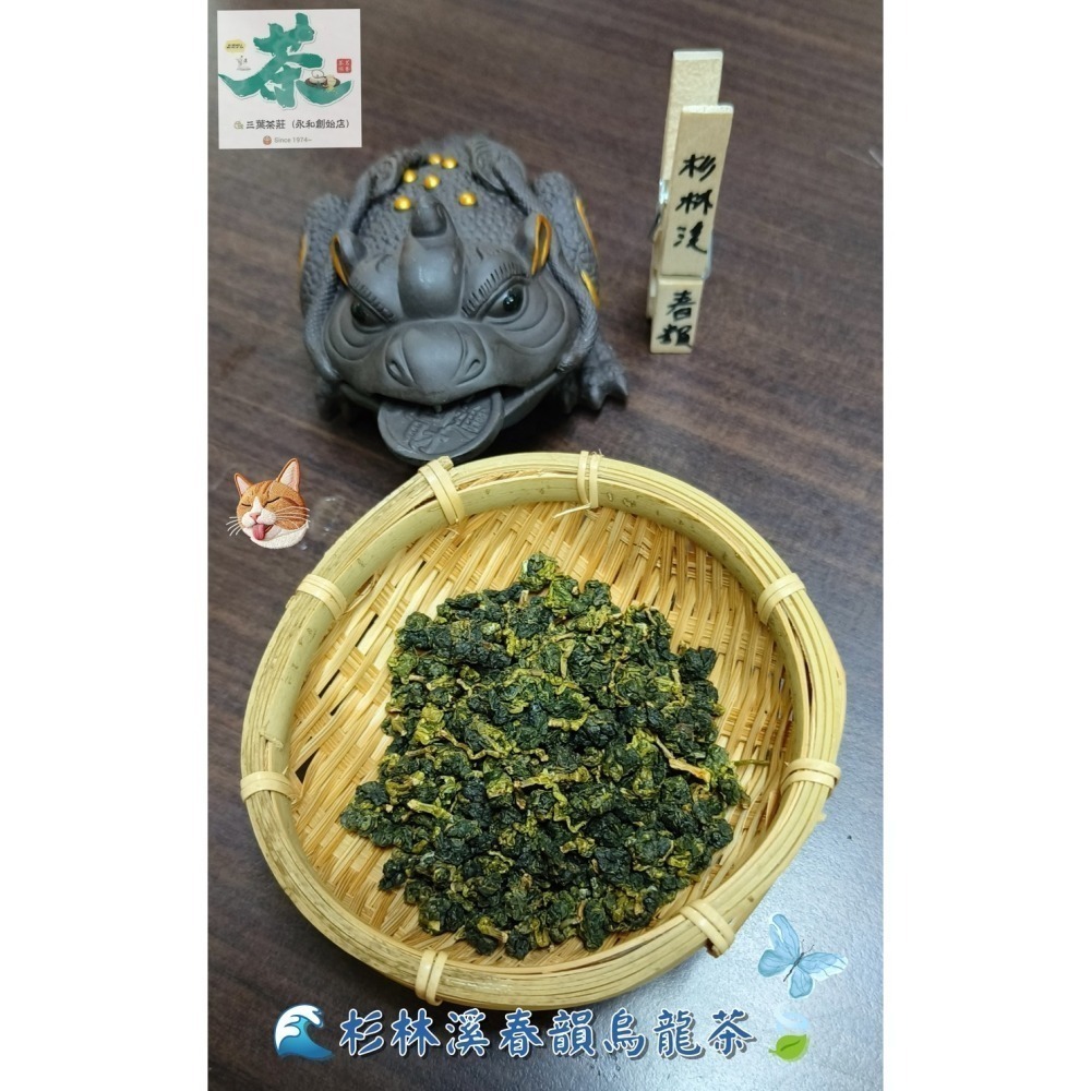26  杉林溪 🌊春韻烏龍茶-細節圖2