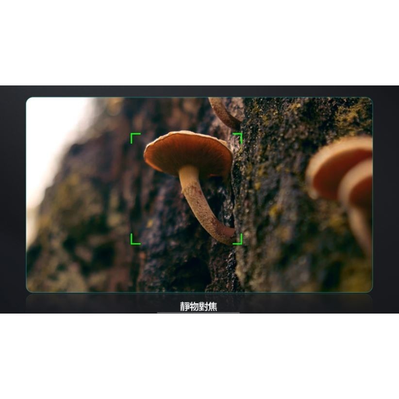 [加送保護鏡] SIRUI 思銳 56mm F1.2 狙擊系列 APS-C 自動對焦 鏡頭~碳纖黑 立福公司貨-細節圖6