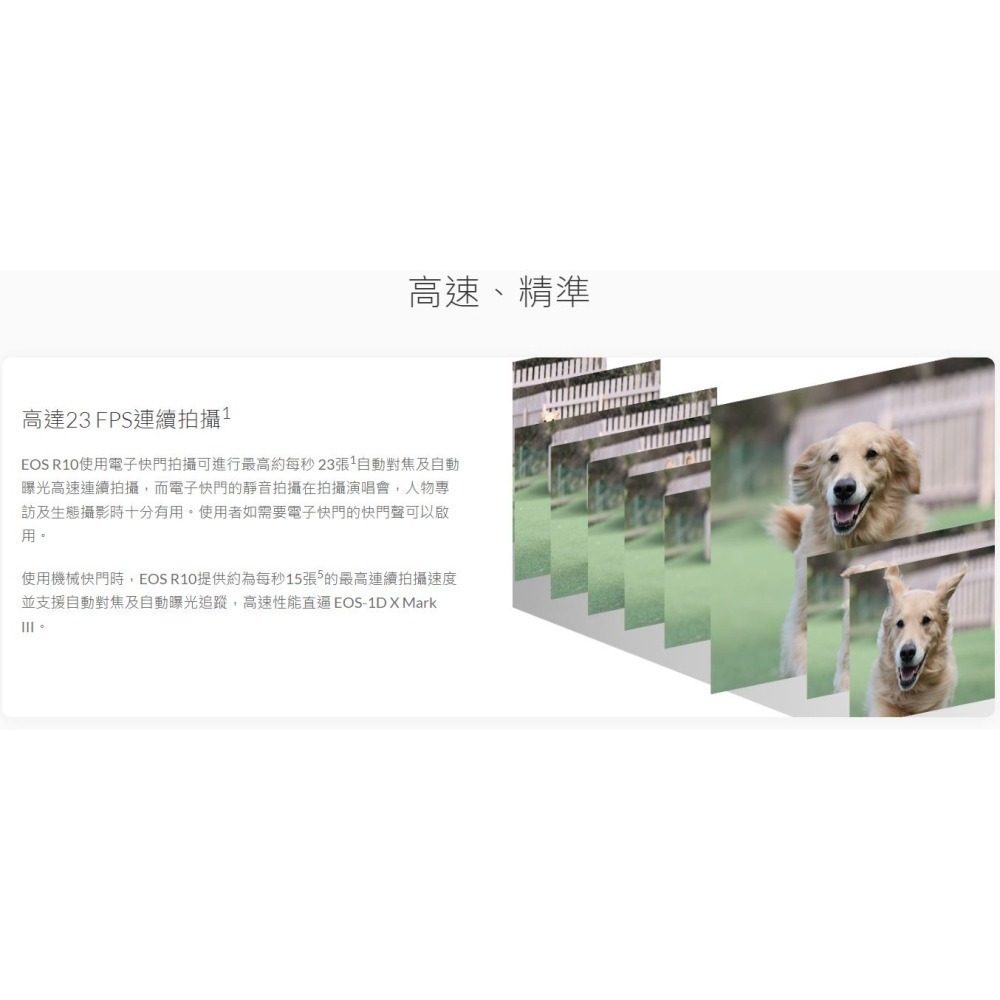 [5/1-6/30優惠] CANON EOS R10 單眼相機  RF-S18-45mm  RF-S18-10登錄送電池-細節圖7